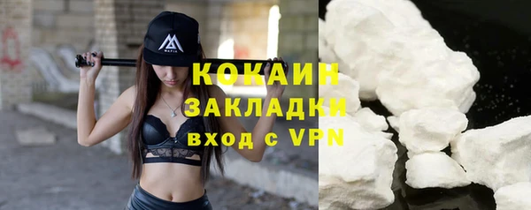 тгк Алзамай