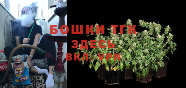 тгк Алзамай
