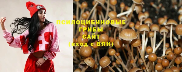 тгк Алзамай