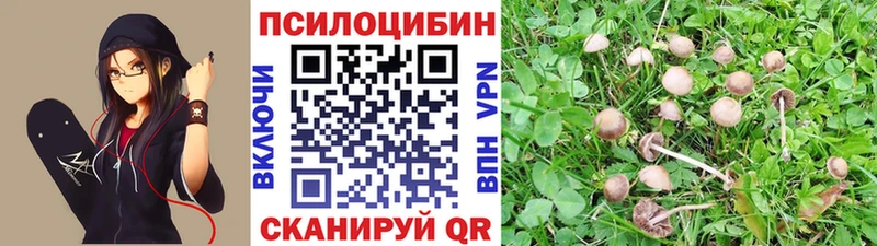 купить закладку  Ленинск-Кузнецкий  Галлюциногенные грибы мухоморы 