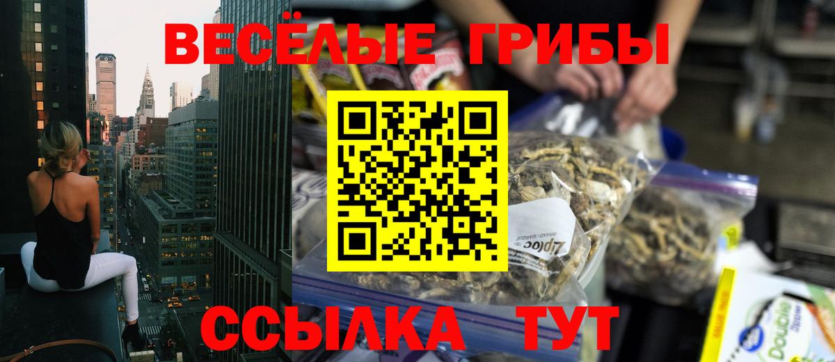Псилоцибиновые грибы MAGIC MUSHROOMS  Вход с VPN  Ленинск-Кузнецкий 