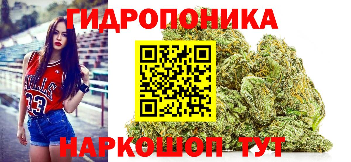 Конопля планчик  Бошки марихуана семена  Вход с VPN  Ленинск-Кузнецкий 